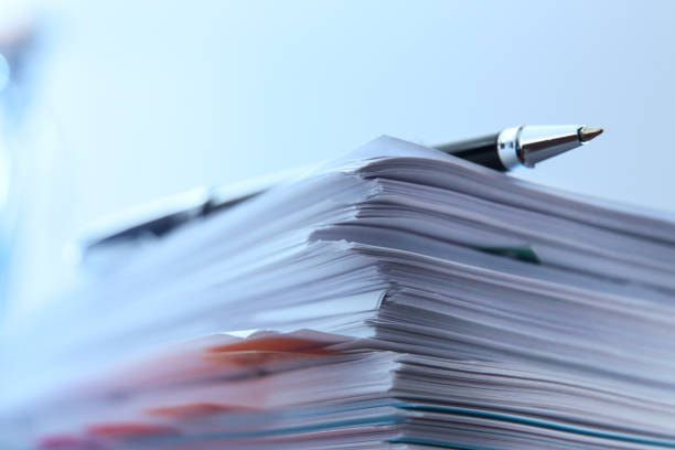 Top Translation Services in Kastina