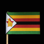 Shona Translation: Zimbabwe and Southern Africa